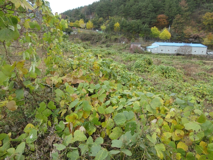 경상남도 거제시 사등면 사등리 1323-11 답 경매 사진 7