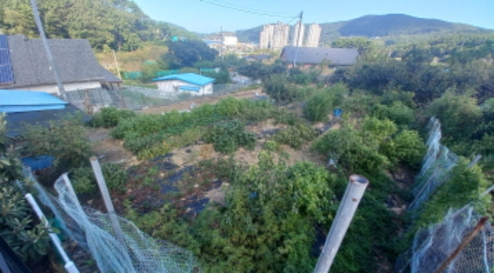 경상남도 거제시 일운면 지세포리 1240 전 경매 사진 4