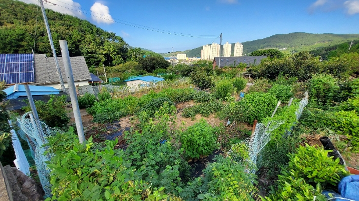 경상남도 거제시 일운면 지세포리 1240 전 경매 사진 5