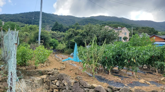 경상남도 거제시 일운면 지세포리 1240 전 경매 사진 8