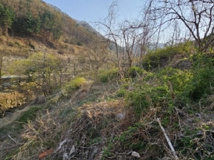 경상북도 영주시 봉현면 두산리 946-1 외 1필지 답 경매 사진 4