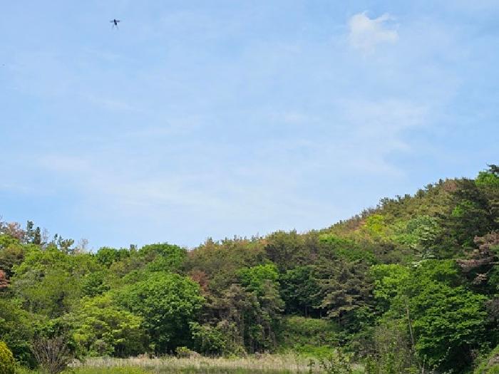 경상남도 진주시 금곡면 가봉리 산34 임야 경매 사진 1