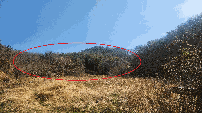 경상남도 진주시 금곡면 가봉리 산34 임야 경매 사진 7