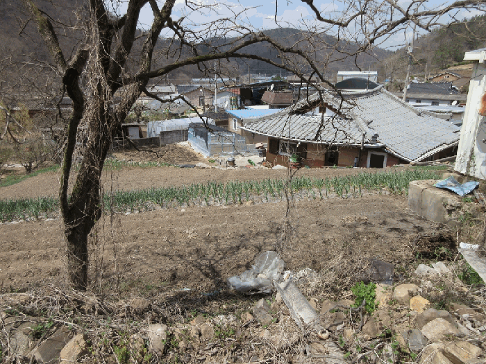전라남도 화순군 한천면 한계리 287 전 경매 사진 7