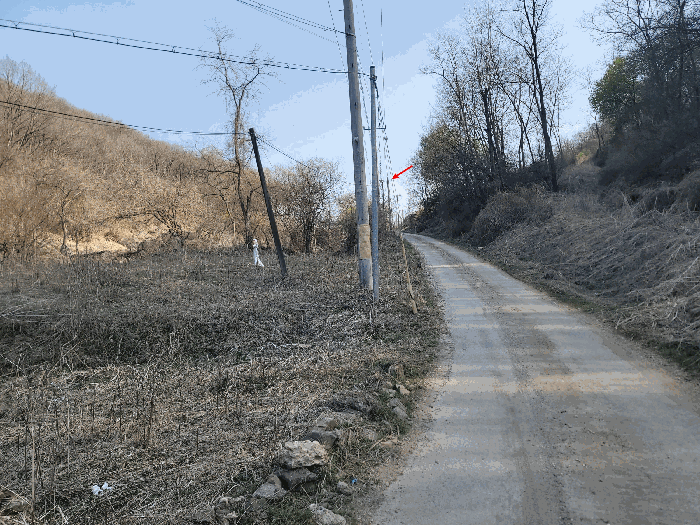 경기도 연천군 군남면 진상리 254-3 전 경매 사진 7