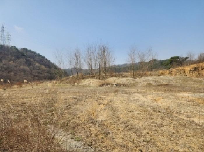 충청북도 청주시 청원구 오창읍 구룡리 산19 외 6필지 임야 경매 사진 2