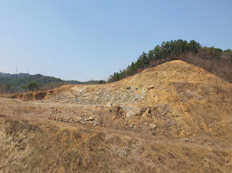 충청북도 청주시 청원구 오창읍 구룡리 산19 외 6필지 임야 경매 사진 11