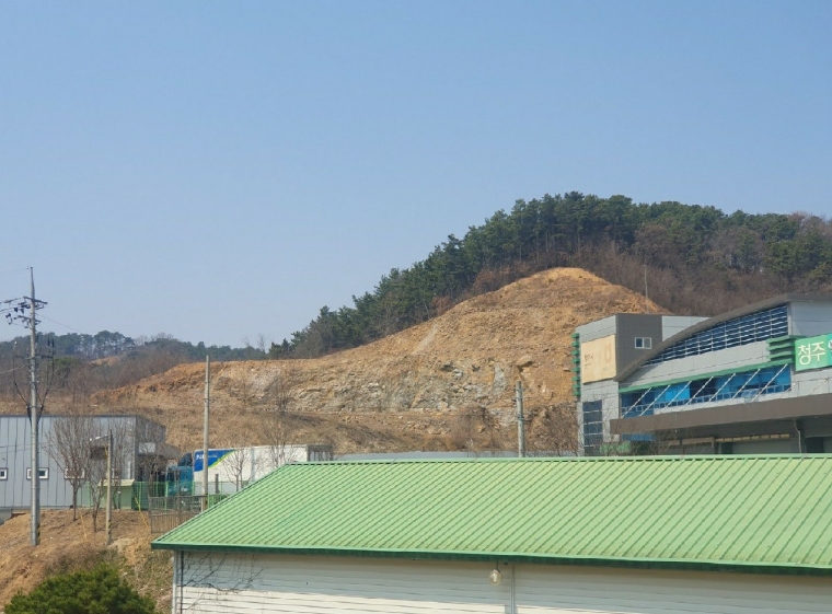 충청북도 청주시 청원구 오창읍 구룡리 산19 외 6필지 임야 경매 사진 13