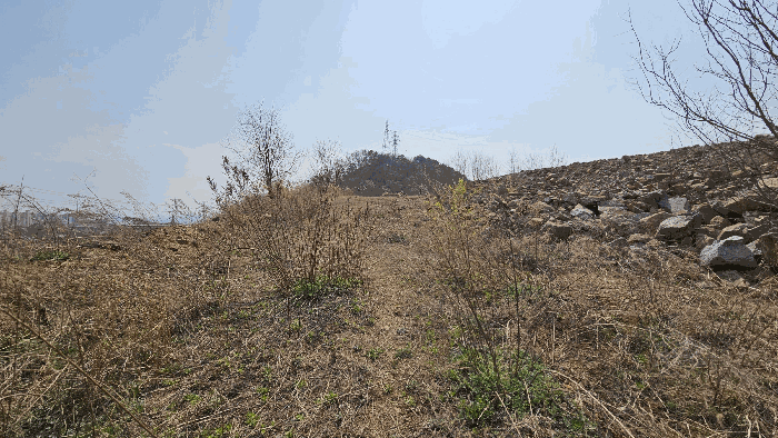충청북도 청주시 청원구 오창읍 구룡리 산19 외 6필지 임야 경매 사진 25