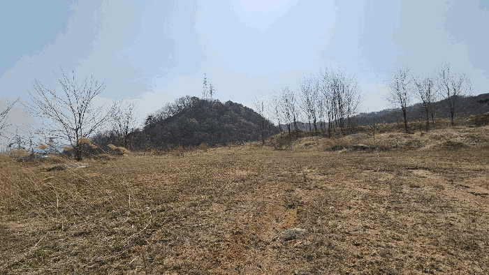 충청북도 청주시 청원구 오창읍 구룡리 산19 외 6필지 임야 경매 사진 29
