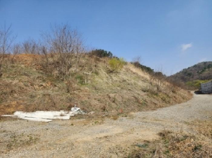 충청북도 청주시 청원구 오창읍 구룡리 산19 외 6필지 임야 경매 사진 4