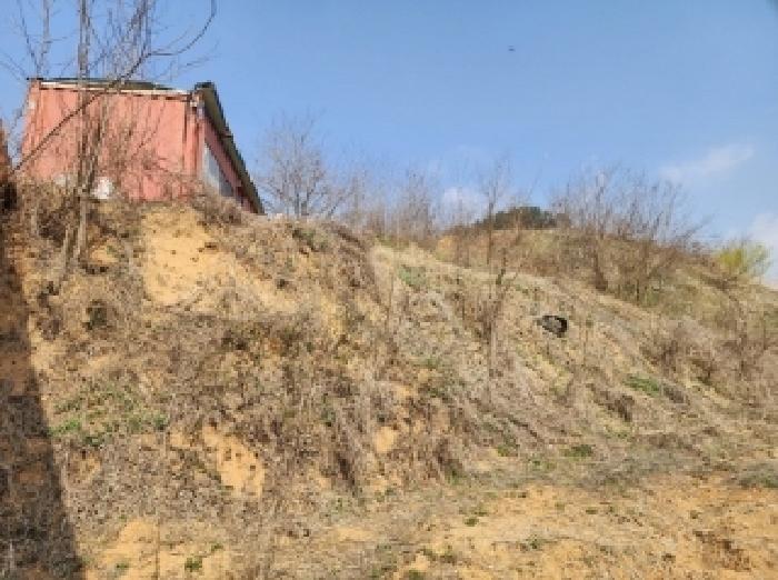 충청북도 청주시 청원구 오창읍 구룡리 산19 외 6필지 임야 경매 사진 7
