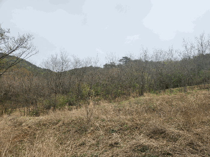 충청남도 예산군 예산읍 산성리 86-1 외 6필지 답 경매 사진 15
