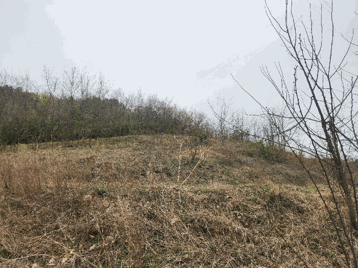 충청남도 예산군 예산읍 산성리 86-1 외 6필지 답 경매 사진 21