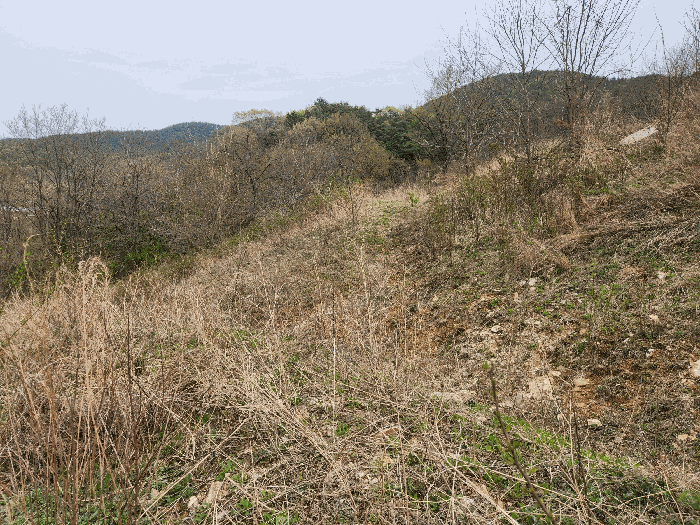 충청남도 예산군 예산읍 산성리 86-1 외 6필지 답 경매 사진 22