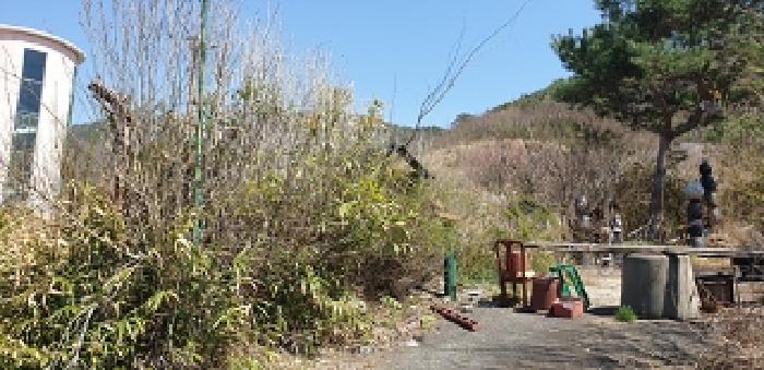 충청남도 예산군 예산읍 산성리 86-1 외 6필지 답 경매 사진 7