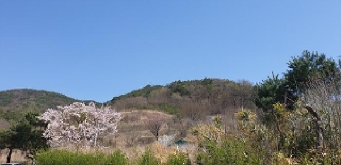 충청남도 예산군 예산읍 산성리 86-1 외 6필지 답 경매 사진 10