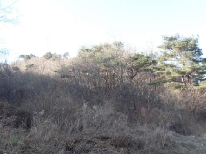충청남도 논산시 벌곡면 한삼천리 395-6 외 3필지 임야 경매 사진 1
