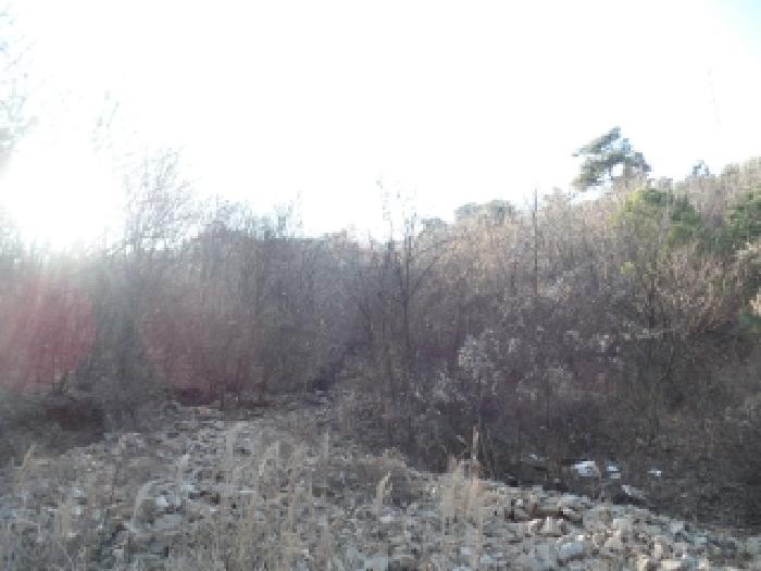충청남도 논산시 벌곡면 한삼천리 395-6 외 3필지 임야 경매 사진 2