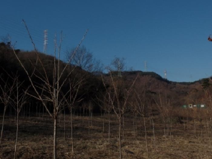 충청남도 논산시 벌곡면 한삼천리 395-6 외 3필지 임야 경매 사진 3