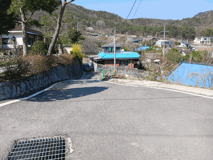 충청남도 공주시 반포면 하신리 196-5 외 3필지 전 경매 사진 6