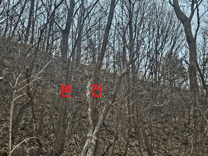 경상북도 칠곡군 가산면 석우리 산100 임야 경매 사진 10