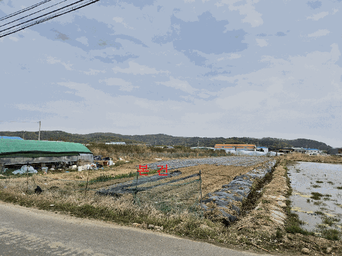 대구광역시 달성군 하빈면 동곡리 1050 답 경매 사진 11