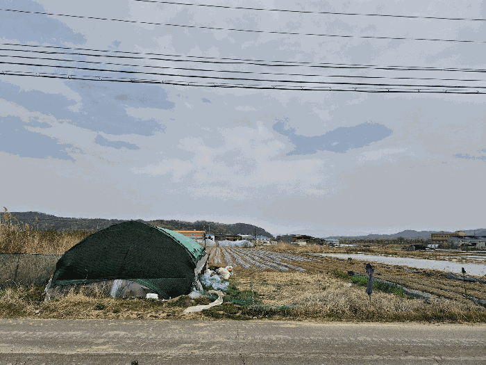 대구광역시 달성군 하빈면 동곡리 1050 답 경매 사진 12