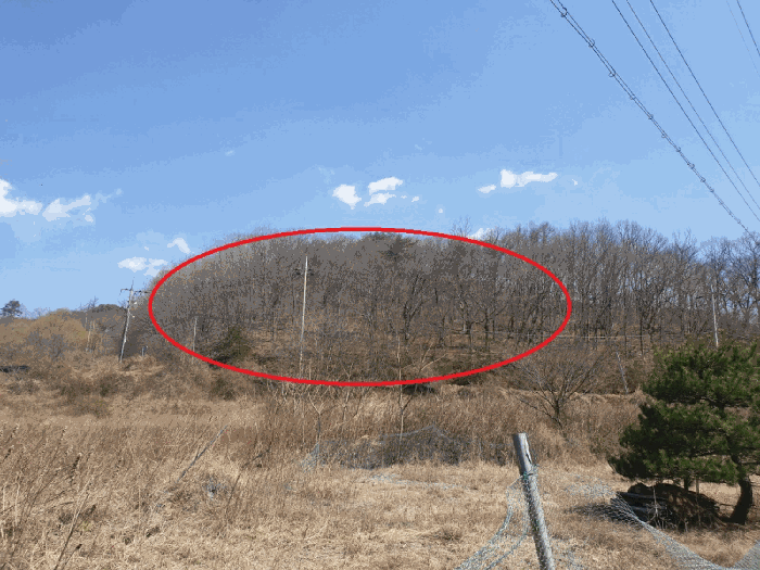 경상북도 경주시 산내면 내일리 산448-3 임야 경매 사진 11