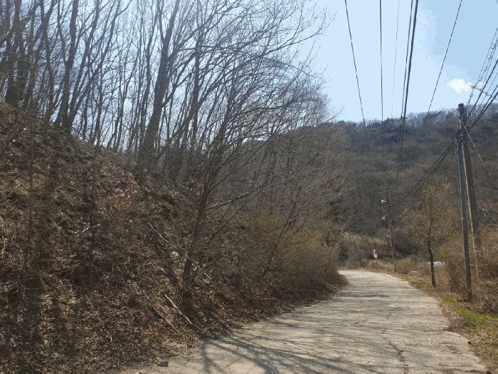 경상북도 경주시 산내면 내일리 산448-3 임야 경매 사진 12