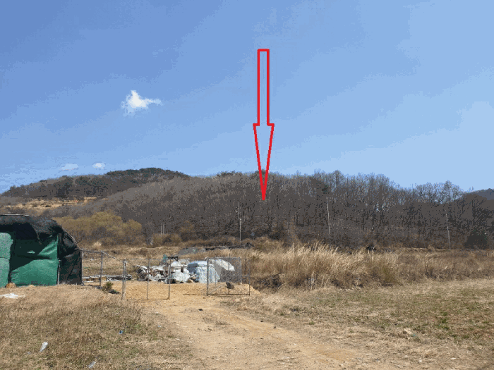 경상북도 경주시 산내면 내일리 산448-3 임야 경매 사진 14