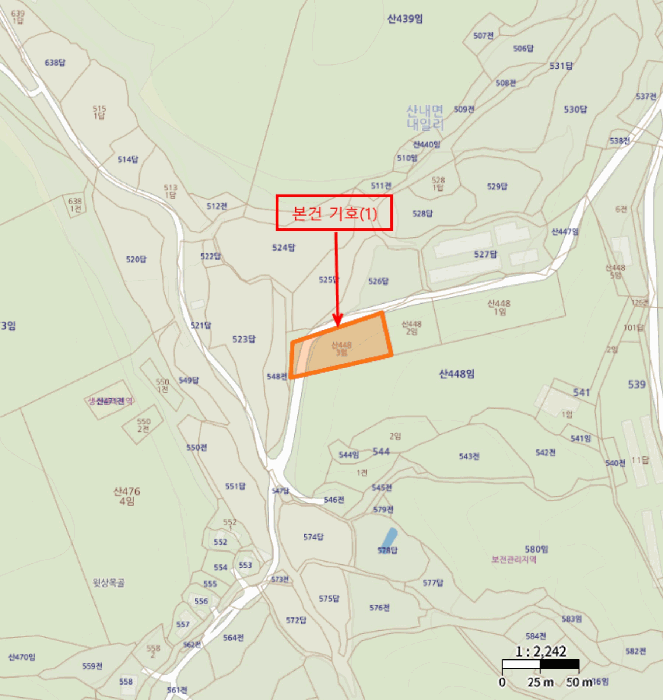경상북도 경주시 산내면 내일리 산448-3 임야 경매 사진 15
