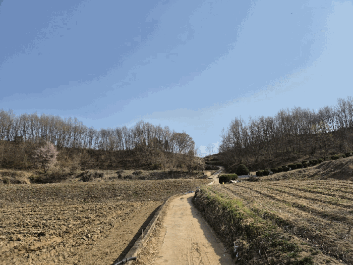 경상북도 예천군 용궁면 대은리 산103 임야 경매 사진 32