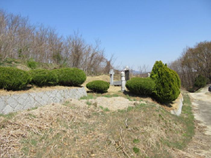 경상북도 예천군 용궁면 대은리 산103 임야 경매 사진 22