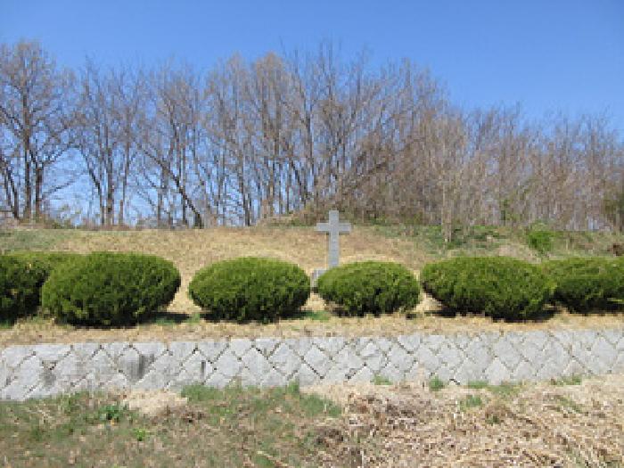 경상북도 예천군 용궁면 대은리 산103 임야 경매 사진 23