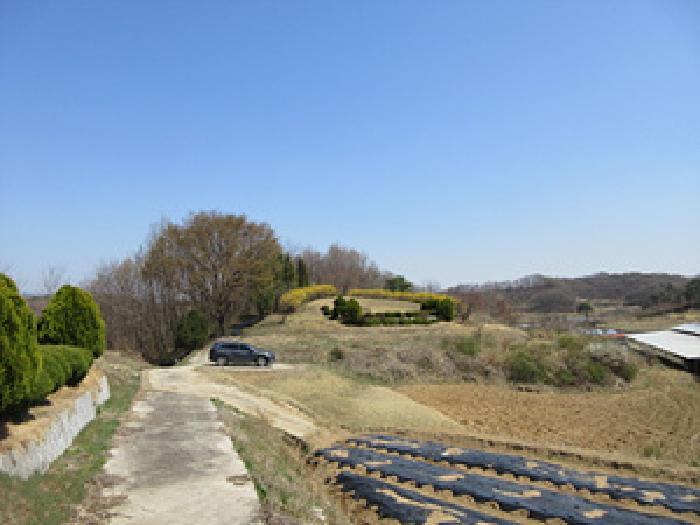 경상북도 예천군 용궁면 대은리 산103 임야 경매 사진 24