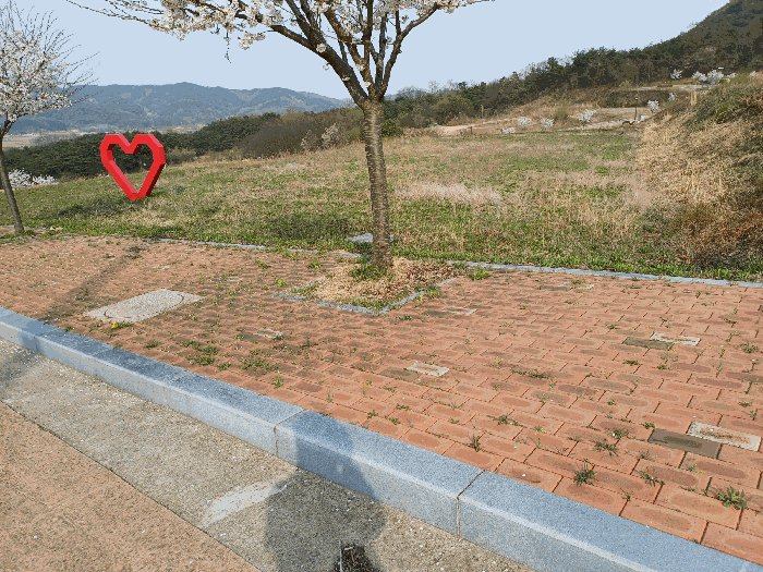 경상북도 상주시 은척면 남곡리 622-2 대지 경매 사진 10