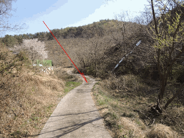 울산광역시 울주군 언양읍 구수리 713 답 경매 사진 29