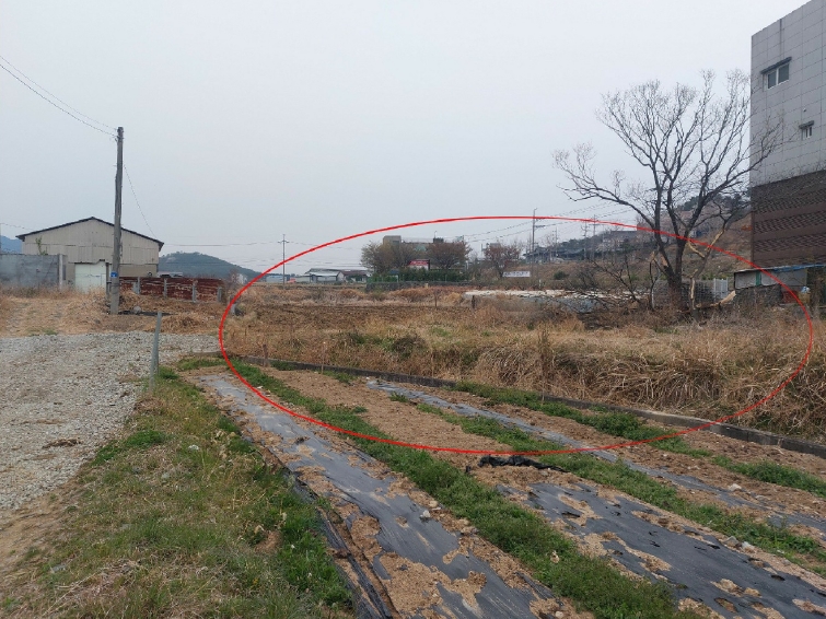 울산광역시 울주군 언양읍 직동리 499-3 답 경매 사진 10