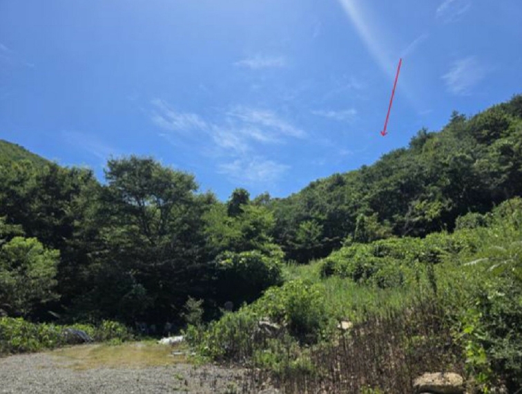 경상남도 사천시 사남면 가천리 산117 임야 경매 사진 13