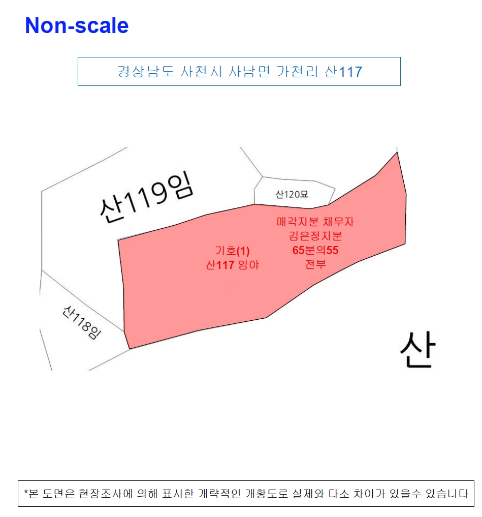 경상남도 사천시 사남면 가천리 산117 임야 경매 사진 19