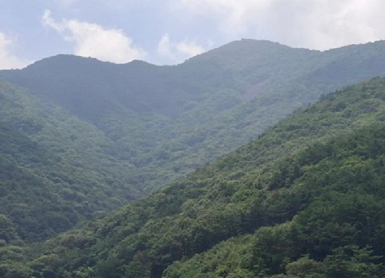 경상남도 사천시 사남면 가천리 산117 임야 경매 사진 15