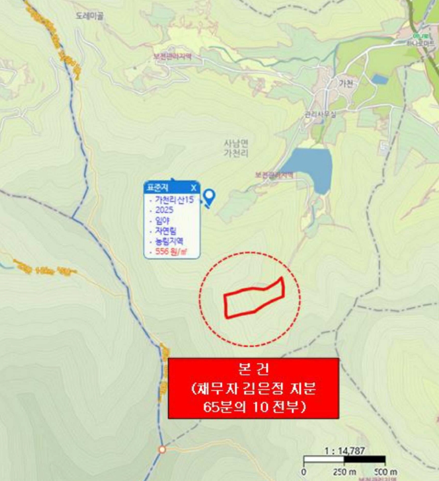 경상남도 사천시 사남면 가천리 산117 임야 경매 사진 16