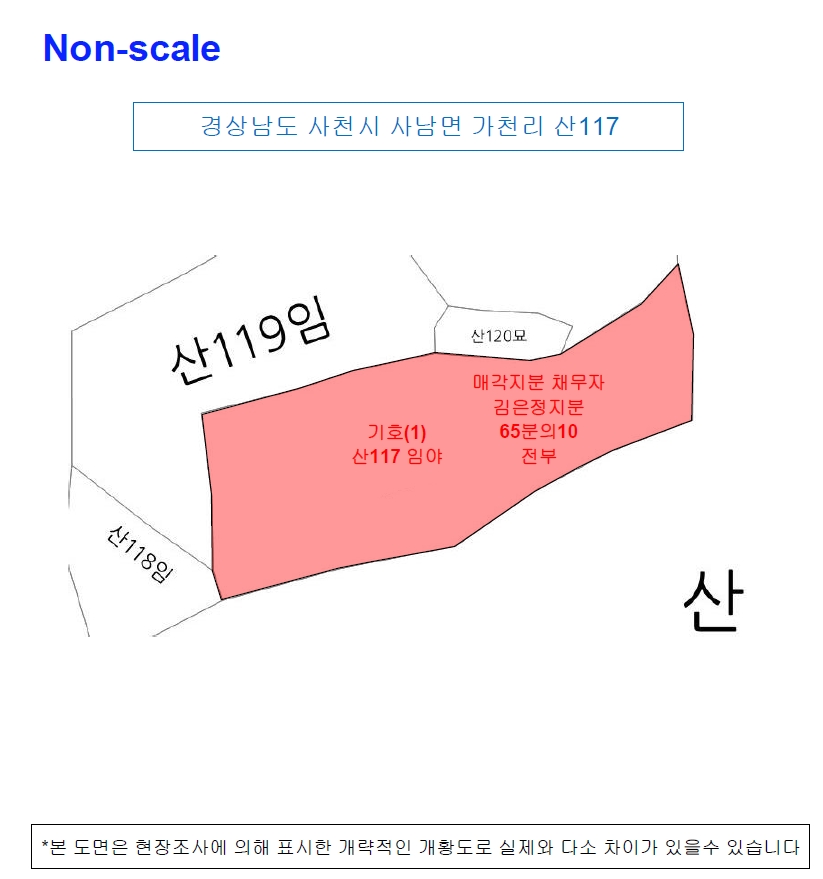 경상남도 사천시 사남면 가천리 산117 임야 경매 사진 17