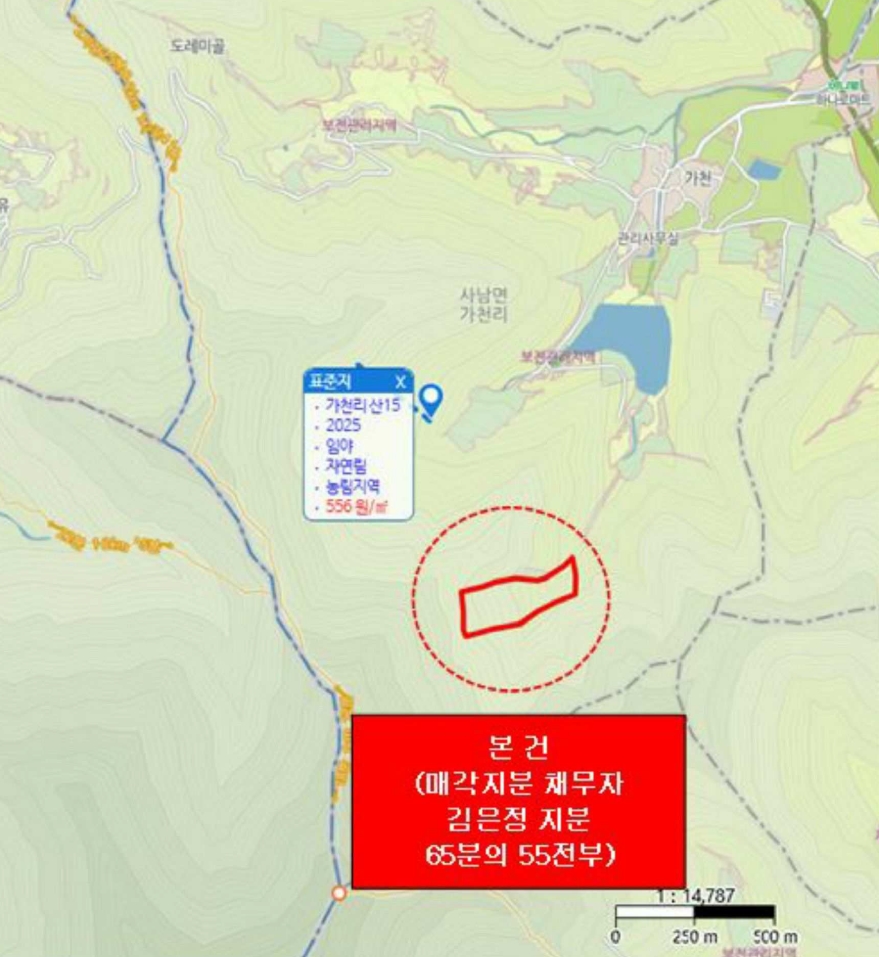 경상남도 사천시 사남면 가천리 산117 임야 경매 사진 18