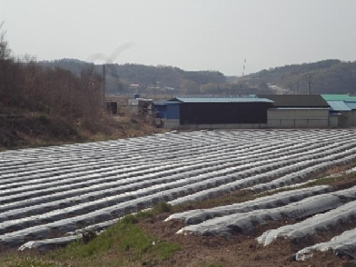 경상남도 창녕군 계성면 계성리 1252 답 경매 사진 1
