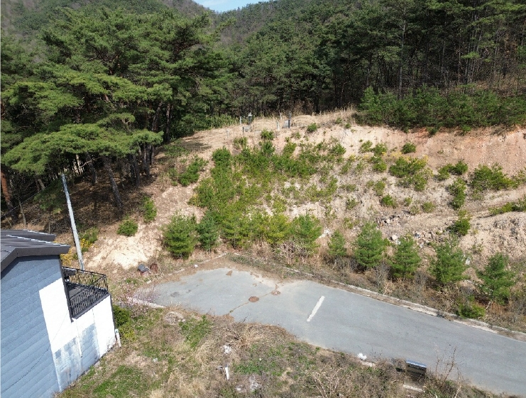 전라남도 화순군 도곡면 원화리 167-5 외 8필지 임야 경매 사진 1