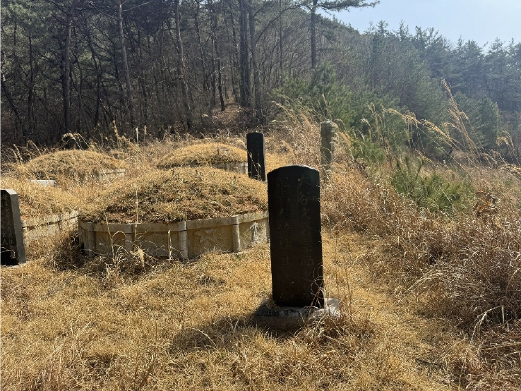 전라남도 화순군 도곡면 원화리 167-5 외 8필지 임야 경매 사진 2