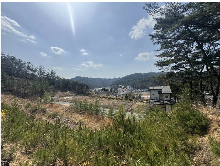 전라남도 화순군 도곡면 원화리 167-5 외 8필지 임야 경매 사진 11