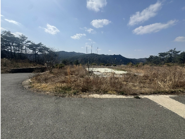 전라남도 화순군 도곡면 원화리 167-5 외 8필지 임야 경매 사진 13